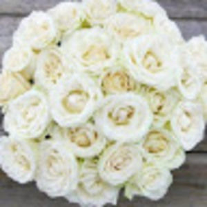 Meet your Posher, Ashlee